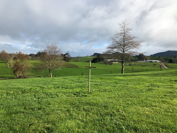 At the field’s centre is a small wooden cross, crusted with lichen, leaning a little crookedly in the wind.