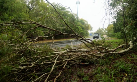 Fallen trees in Holloways Beach, Cairns