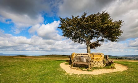 The lone beech and memorial wall on Cleeve Common, near Cheltenham