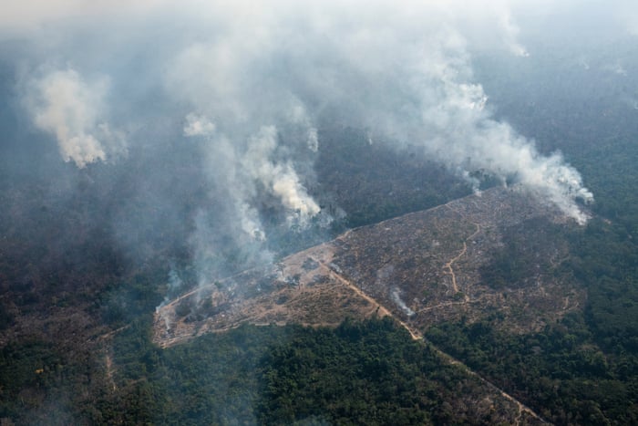 Amazon Tragedy Repeats Itself As Brazil Rainforest Goes Up In Smoke World News The Guardian
