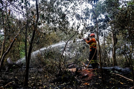 A firefighter hosing a fire in the forest. 