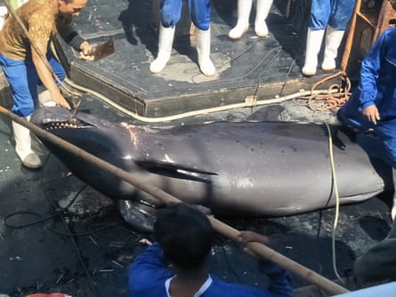 Q&A with Indonesian crew abused on Chinese shark-finning boat