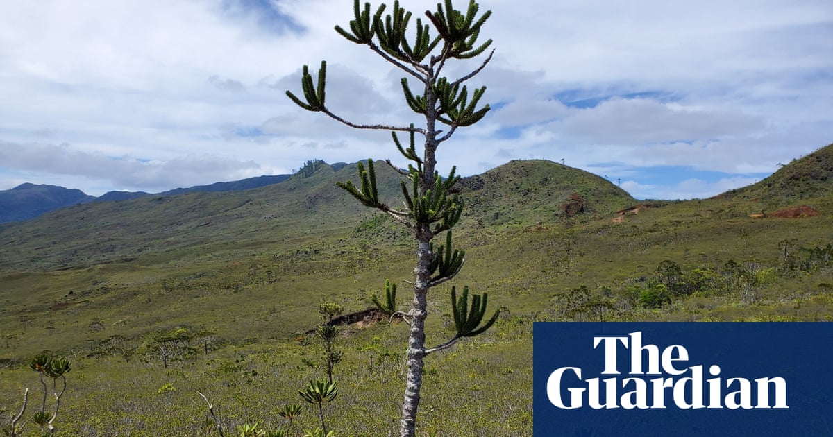 Plants humans don’t need are heading for extinction, study finds