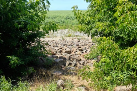 A view through trees of a section of rocky ground that gives way to sand and scrubby plants and then a sea of trees.