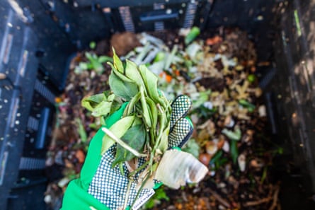 Green materials, such as garden clippings and weeds, can be included in home compost.