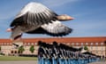 Geese fly past soldiers of an honour guard