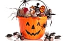 Rise in chocolate prices could spook shoppers this Halloween Rise in chocolate prices could spook shoppers this Halloween