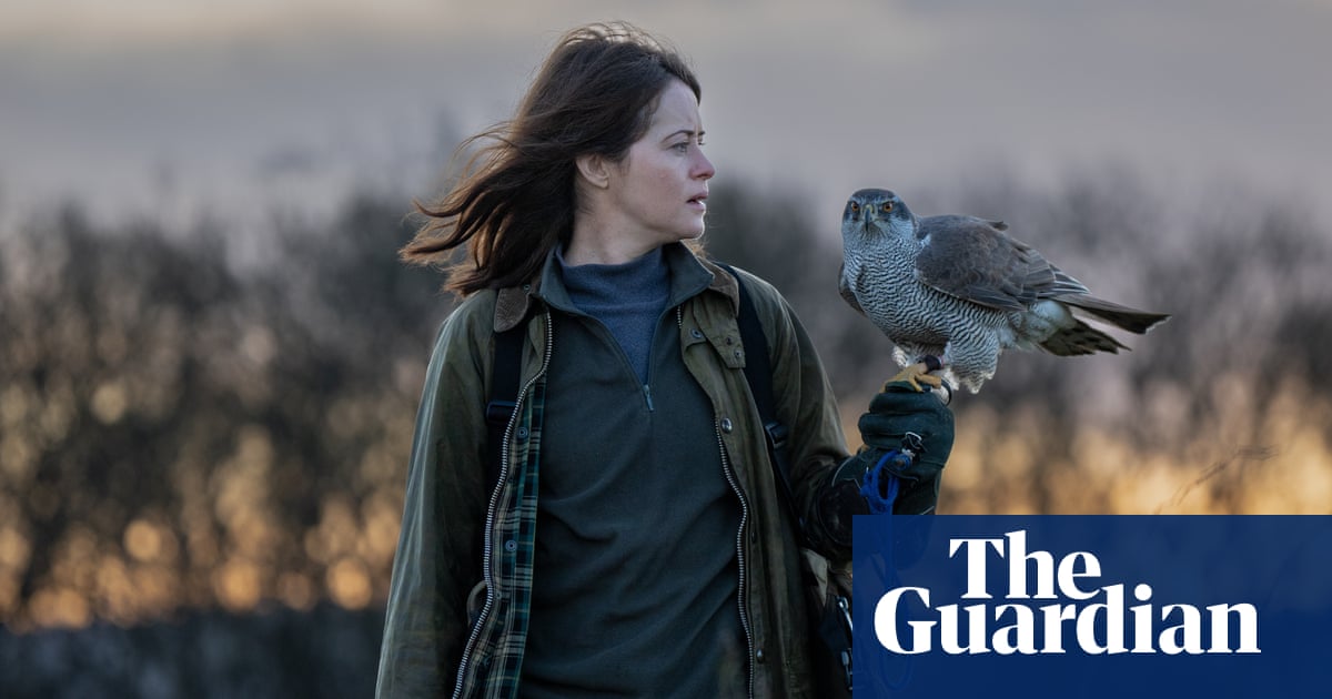 H Is for Hawk to Doctor Strange: the seven best films to watch on TV this week
