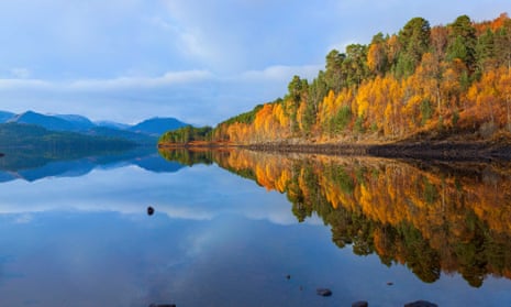 Glen Affric in the Scottish Highlands, part of a vast area of up to 500,000 acres designated for rewilding.