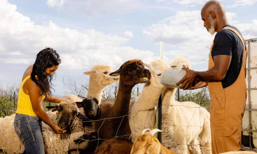 James and Rachael feed the animals on their ranch.