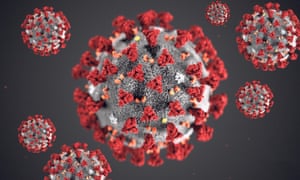 Image of a Coronavirus 
