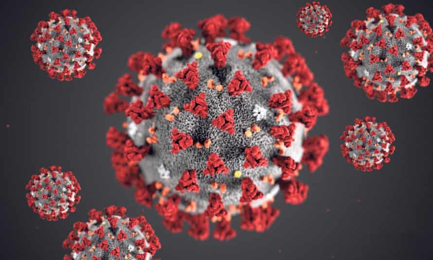 An illustration of the 2019 novel coronavirus (2019-nCoV) from the US Centers for Disease Control and Prevention