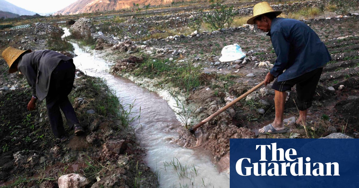 About 15% of world's cropland polluted with toxic metals, say researchers