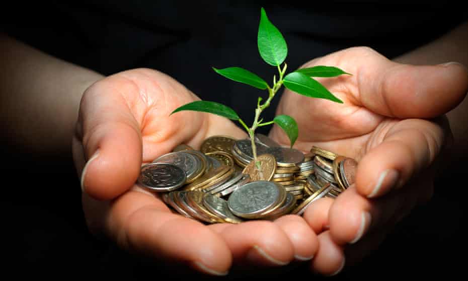 Person holding plant sprouting from a handful of coins