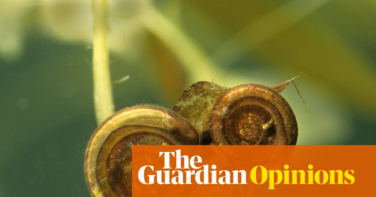 The Guardian view on Labour targeting nature: the problem isn't snails, but a broken housing model | Editorial