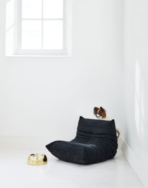 Mini Togo chair designed by Michel Ducaroy for Ligne Roset. Capri dog bowl by Lord Lou from Harrods