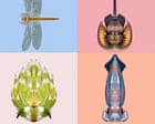 The winner of the Guardian's Invertebrate of the year 2026 revealed The winner of the Guardian's Invertebrate of the year 2026 revealed