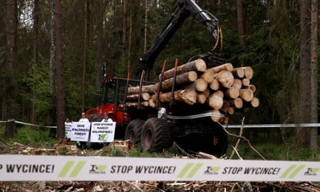 Environmental activists chain themselves to a logging machine to try and stop felling in Bialowieza forest