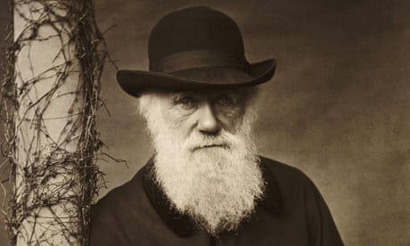 Origin story: what does Darwin's taste in art tell us about the scientist? | Art and design | The Guardian
