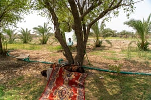 A rug next to a tree. The tree has a mirror on it, with a man's reflection showing.