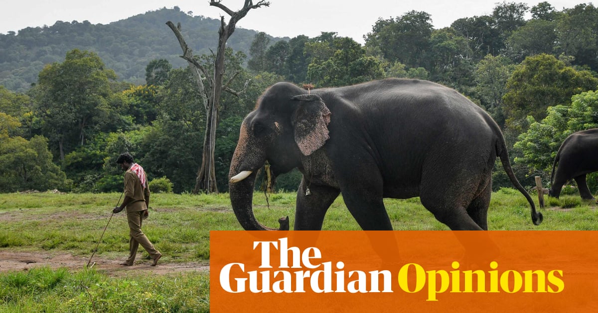 Are humans on the verge of ‘peace talks’ with the non-human world? | Barbara Ehrenreich