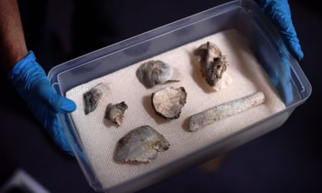 Fragments of the oldest human fossil found withinBrazilian borders, known as Luzia, are displayed during a press conference in Rio de Janeiro, Brazil on 19 October.