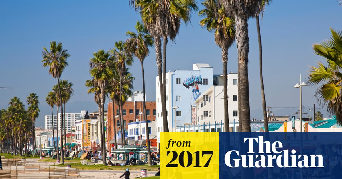 Los Angeles Legendary Palm Trees Are Dying And Few Will Be