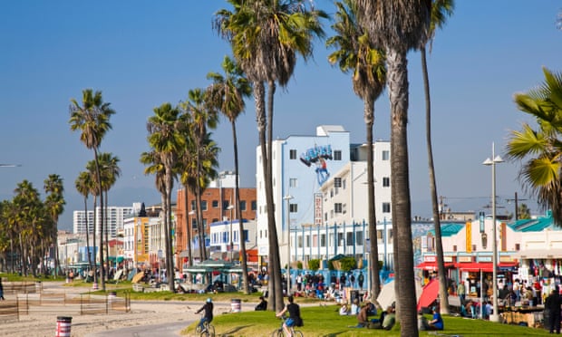 ‘The iconic association of palm trees with Los Angeles is a positive, but we’re now in a period where we have a better understanding of what’s needed,’ says a climate expert.