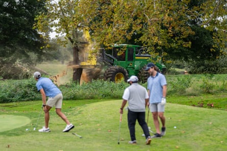 golfers standing on green as tree is being cut down in background