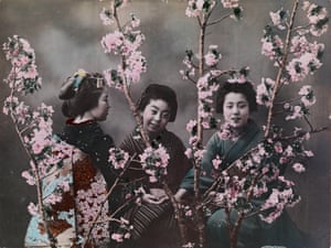 Three Japanese women dressed in traditional kimonos pose behind cherry blossoms in 1918.