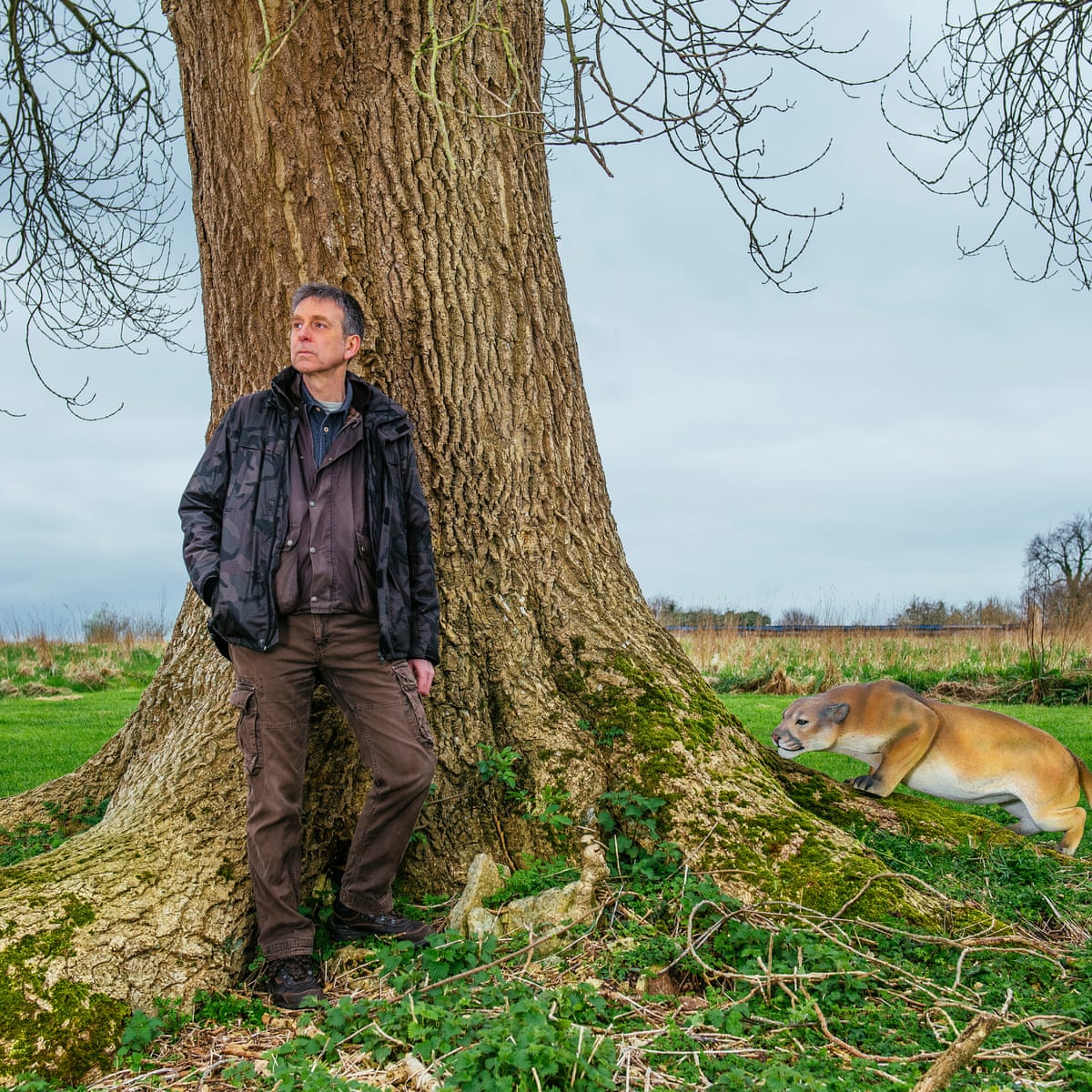 On The Trail Of Britain S Wild Big Cats Global The Guardian