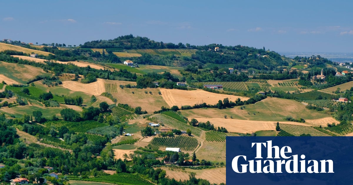 Think lambrusco is too sweet? Have another taste | Hannah Crosbie on drinks