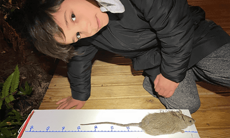 Children compete as part of rat catching competition on Rakiura/Stewart Island in New Zealand