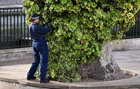 A police officer inspects a tree outside Westminster Abbey.