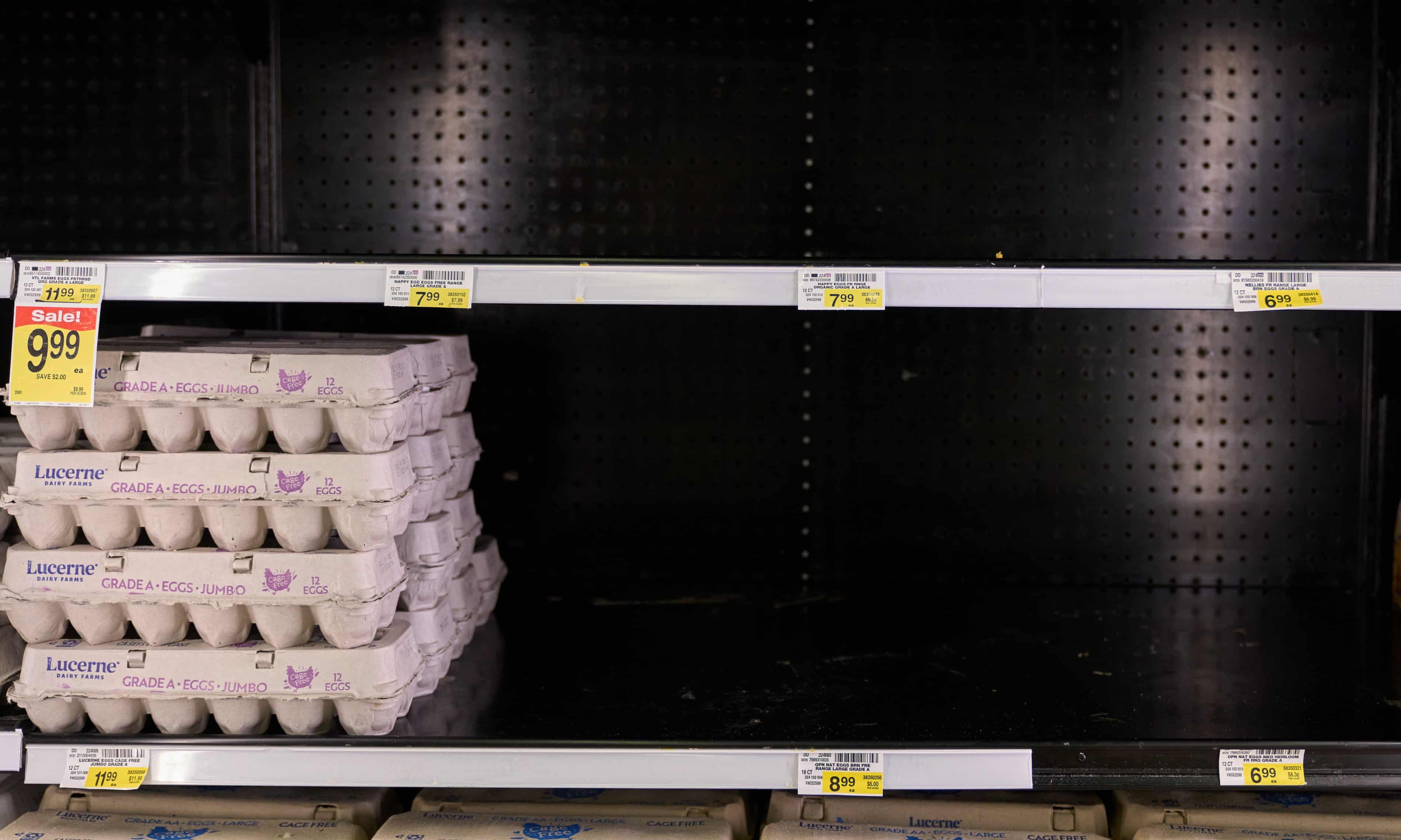 Thieves steal 100,000 eggs from trailer in Pennsylvania as prices spike (theguardian.com)