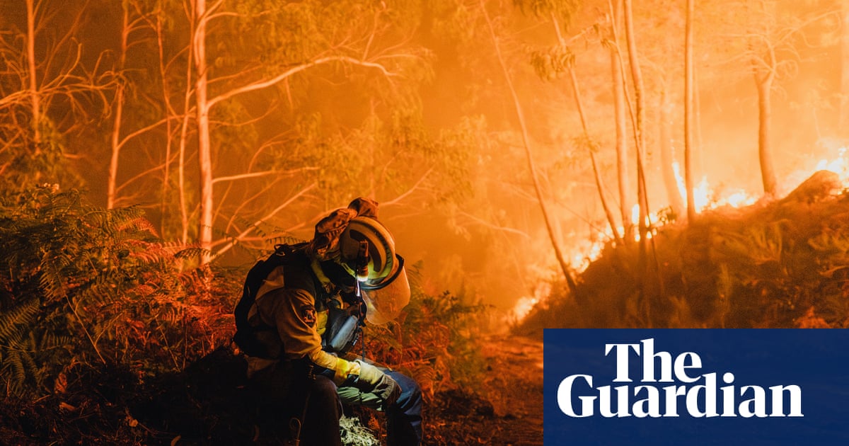 EU wildfires worst on record as burning season continues