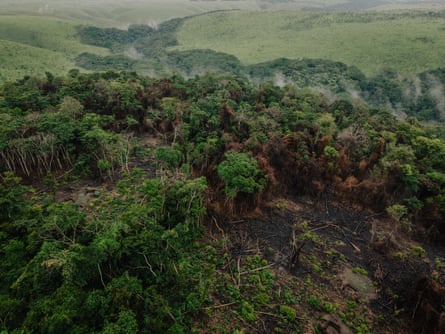 Cidades flutuantes de troncos: poderão os “pulmões de África” sobreviver à sua exploração?