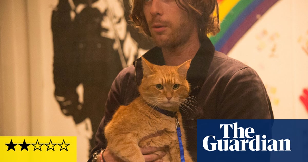 A Street Cat Named Bob review so much kitty litter Film The Guardian