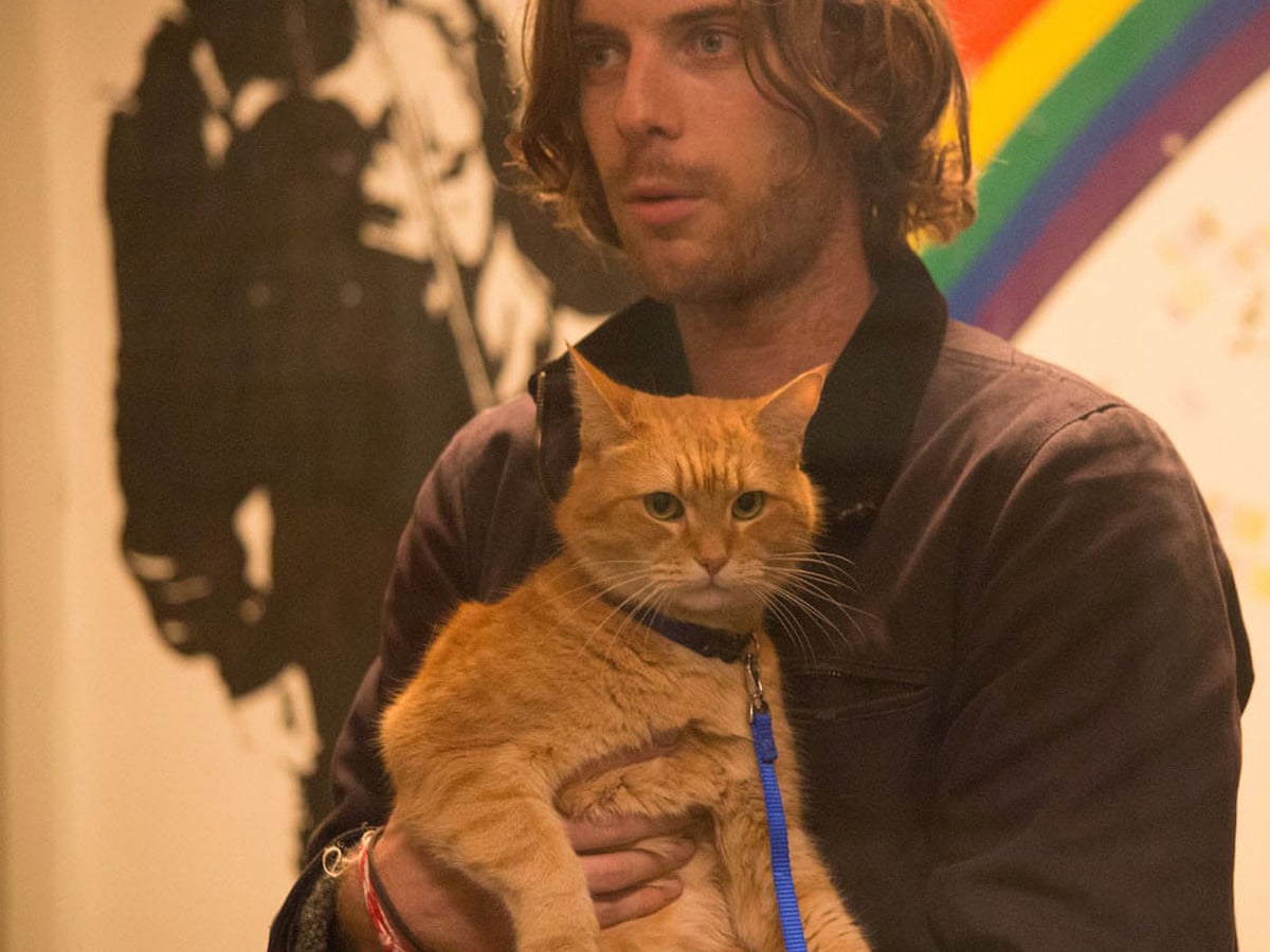 A Street Cat Named Bob Review So Much Kitty Litter Biopics The Guardian