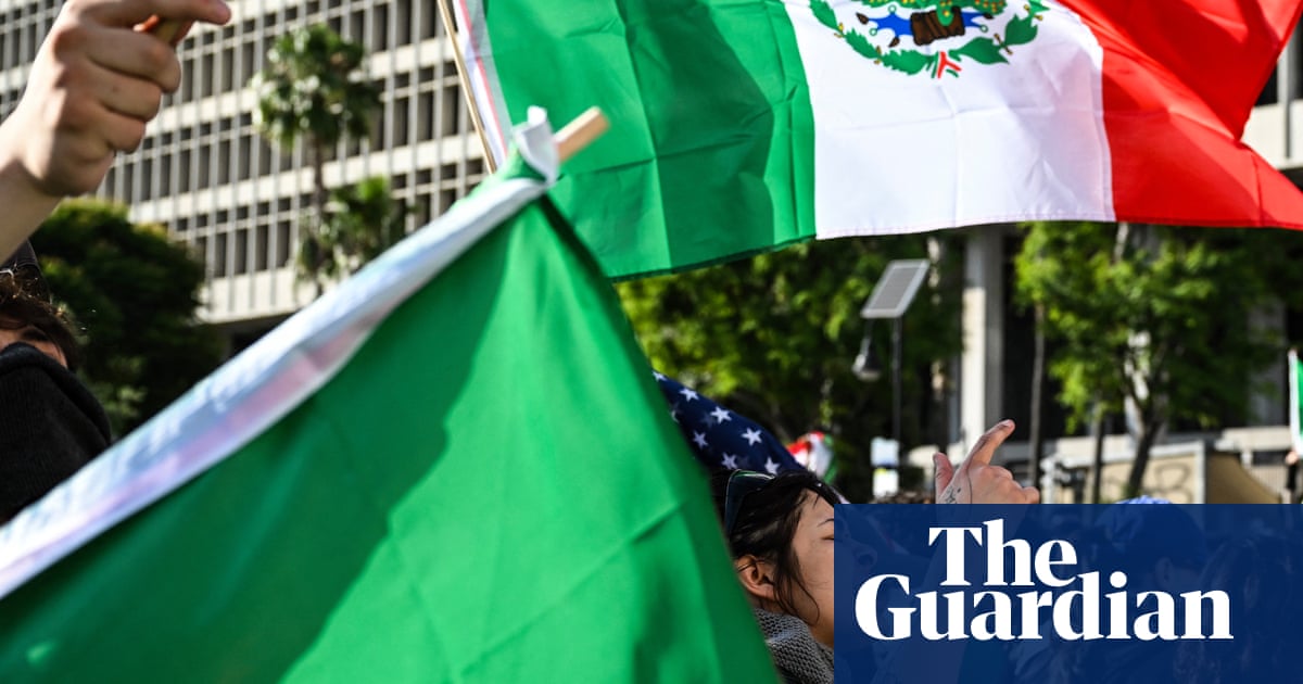 What the foreign flags at the LA protests really mean