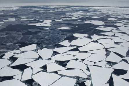 Floating ice floes