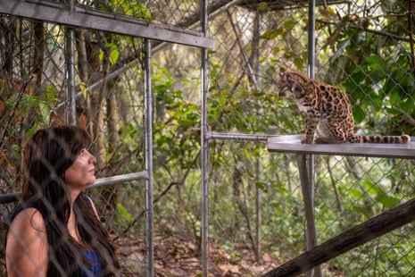 a woman looking at a cat