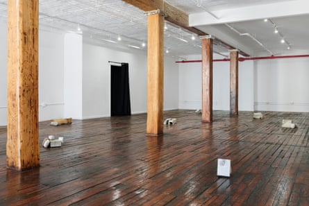 Asad Raza: Thigmotaxis (the rat show). Installation view in New York.