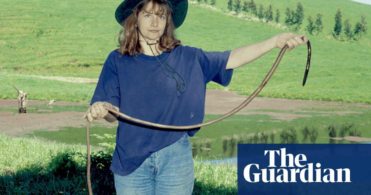 Mysterious and vulnerable: the secret lives of Australia's giant worms
