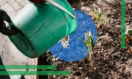 Someone watering some seedlings
