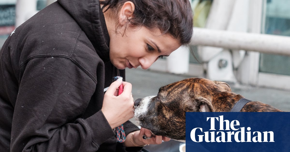 The pet project helping to get rough sleepers in the UK off the streets