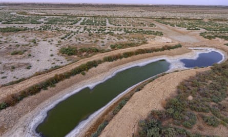 A almost dry canal full of salt in the area of Siba in Basra.
