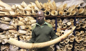 Image result for ivory trinkets