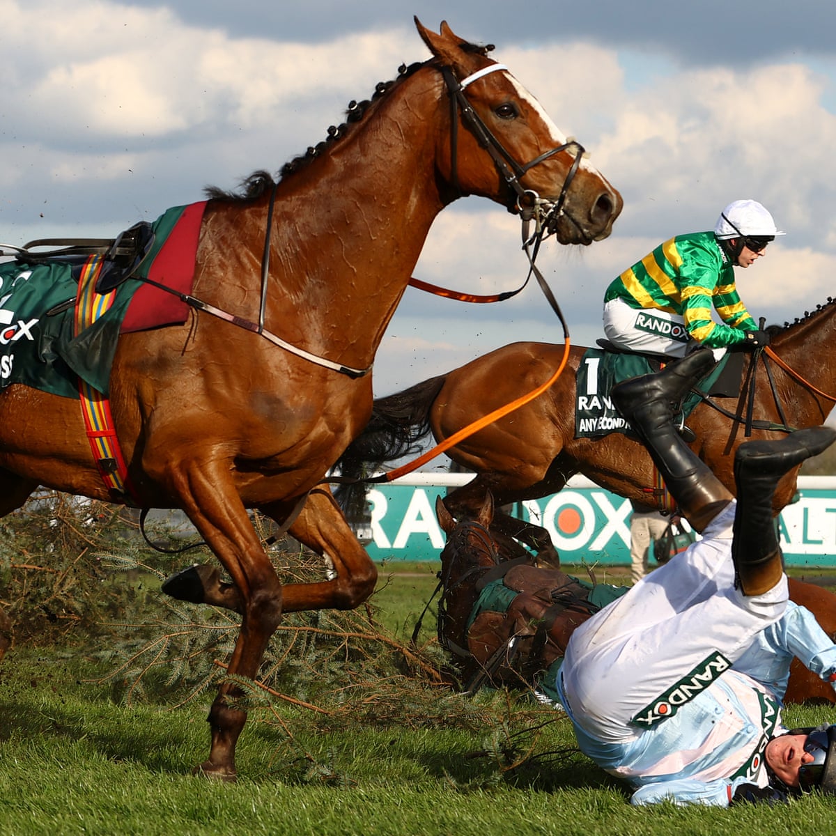 Horse Racing Accidents horse-racing-accidents