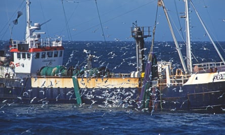 A fishing trawler at sea surrounded by a flock of Kittiwakes
